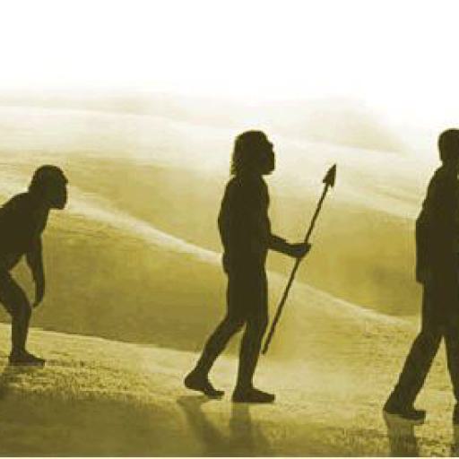 Silhouetten von mehreren Personen auf einer grasbewachsenen Wiese bei Sonnenaufgang.